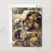 Leden en wilde dieren circus show briefkaart (Voorkant / Achterkant)