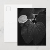 leder briefkaart (Voorkant / Achterkant)