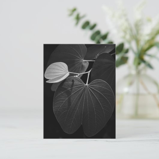 leder briefkaart (Staand voorkant)