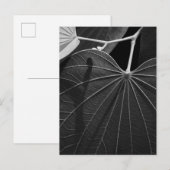 leder briefkaart (Voorkant / Achterkant)