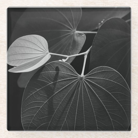 leder glazen onderzetter (Voorkant)