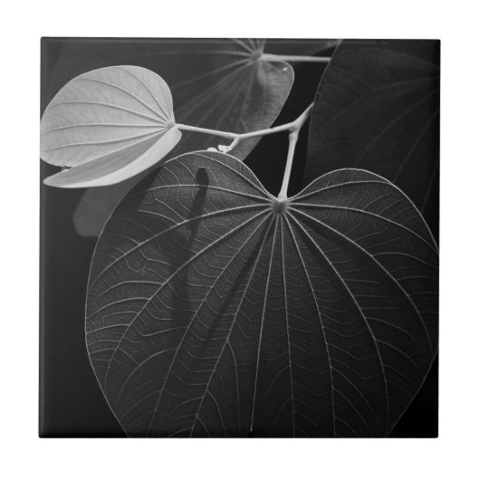 leder tegeltje (Voorkant)