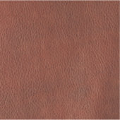 Leder, vinylsticker, op maat gesneden sticker (Voorkant)