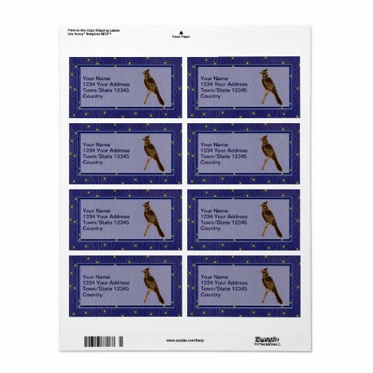 Lederen look inheemse Amerikaanse dierenriem spech Etiket (Full Sheet)