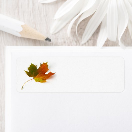 lederen mantel etiket (Insitu)