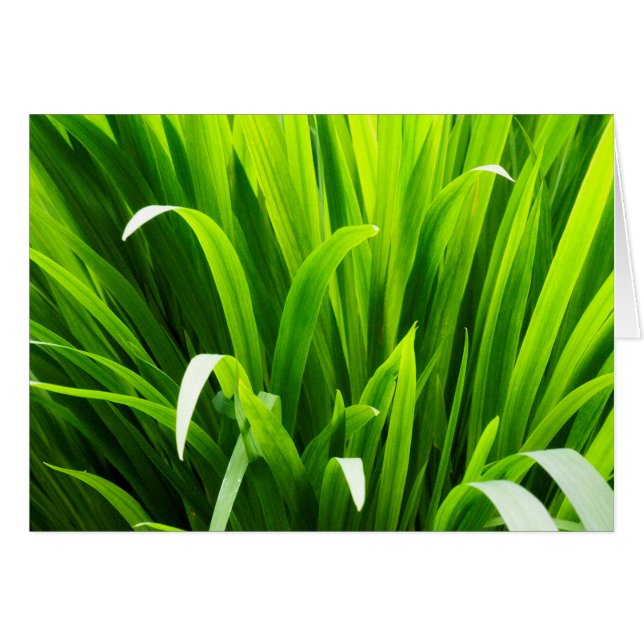 Lederen met achtergrondverlichting in de tuin (Voorkant Horizontaal)