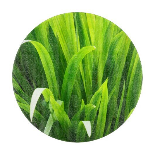 Lederen met achtergrondverlichting in de tuin snijplank (Voorkant)