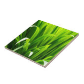 Lederen met achtergrondverlichting in de tuin tegeltje (Zijkant)