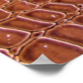 lederen textuur achtergrondstructuur, kunst, achte poster (Hoek)