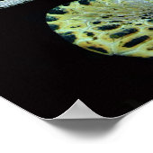 Lederen Zee - Poster voor schildpad (Hoek)