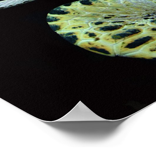 Lederen Zee - Poster voor schildpad (Hoek)