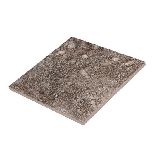 Ledervormig uiterlijk tegeltje (Zijkant)