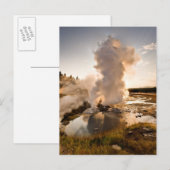 Ledge Geyser, Norris Geyser Basin Briefkaart (Voorkant / Achterkant)