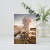 Ledge Geyser, Norris Geyser Basin Briefkaart (Staand voorkant)