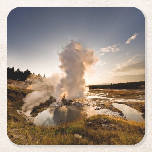 Ledge Geyser, Norris Geyser Basin Kartonnen Onderzetters (Voorkant)