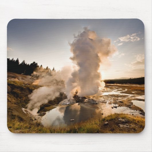 Ledge Geyser, Norris Geyser Basin Muismat (Voorkant)