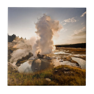 Ledge Geyser, Norris Geyser Basin Tegeltje