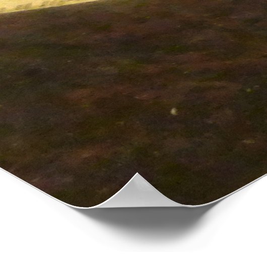 Ledger en Eyeglassen Poster (Hoek)