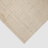  Ledger Tissuepapier (Detail)