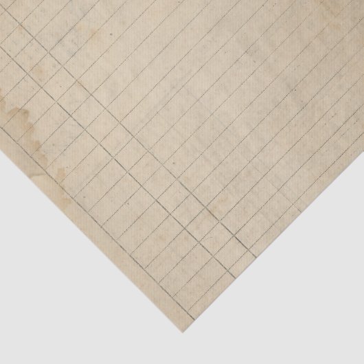  Ledger Tissuepapier (Detail)