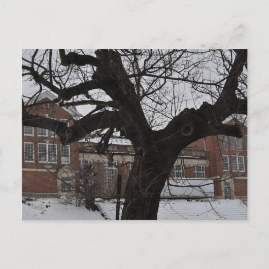 Lee High Briefkaart (Voorkant)