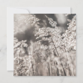 Leed Natuur-fotokaart