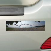 Leef Aloha Bumpersticker (Op auto)