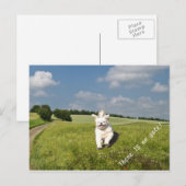 "Leef als..." Briefkaart boeddhistische (Matrix) v (Voorkant / Achterkant)