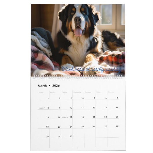 Leef als een Berner 2025 muurkalender Kalender (Mar 2026)