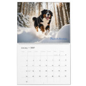 Leef als een Berner 2025 muurkalender Kalender (Jan 2027)