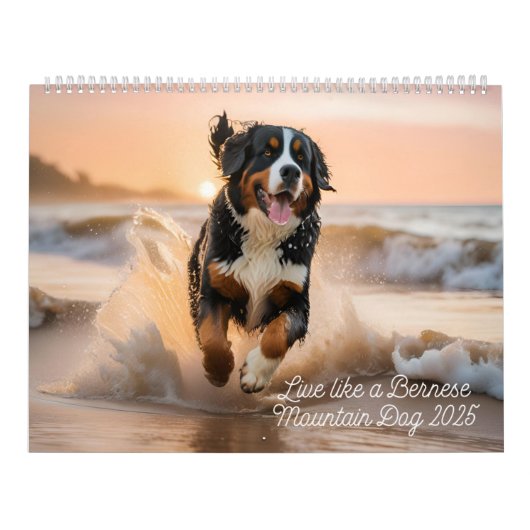 Leef als een Berner 2025 muurkalender Kalender (Hoes)