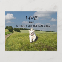 "Leef als iemand die de poort open heeft gelaten"  Briefkaart