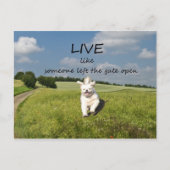 "Leef als iemand die de poort open heeft gelaten"  Briefkaart (Voorkant)