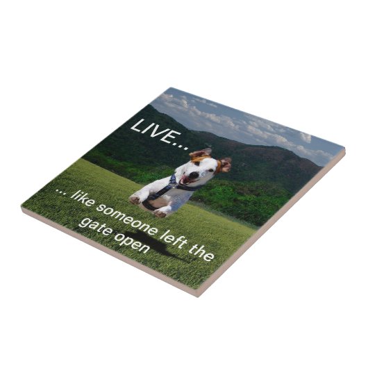 "Leef als iemand..." Tegel Tegeltje (Zijkant)