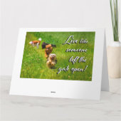 Leef alsof iemand de poort open heeft gelaten. bedankkaart (Achterkant)