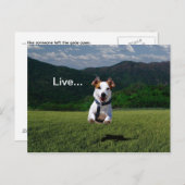 "Leef alsof iemand de poort open heeft gelaten" Br Briefkaart (Voorkant / Achterkant)