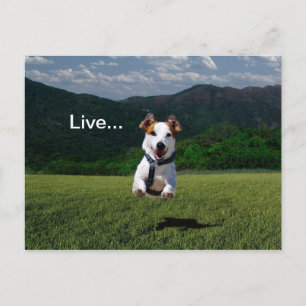 "Leef alsof iemand de poort open heeft gelaten" Br Briefkaart