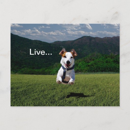 "Leef alsof iemand de poort open heeft gelaten" Br Briefkaart (Voorkant)