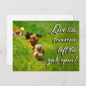 Leef alsof iemand de poort open heeft gelaten. briefkaart (Voorkant / Achterkant)