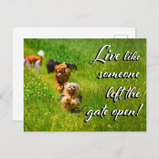 Leef alsof iemand de poort open heeft gelaten. briefkaart (Voorkant / Achterkant)