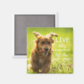 "Leef alsof iemand de poort open heeft gelaten" Da Magneet (Voorkant / Achterkant)