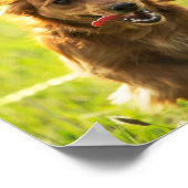 "Leef alsof iemand de poort open heeft gelaten" Da Poster (Hoek)