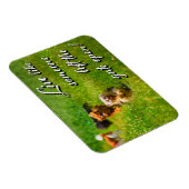 Leef alsof iemand de poort open heeft gelaten. magneet (Rechterzijde)