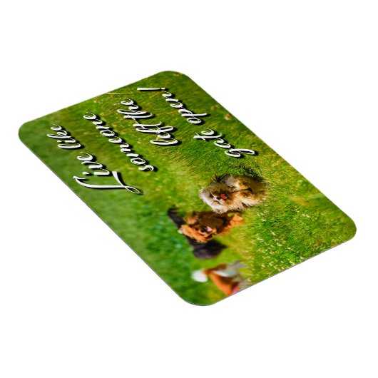 Leef alsof iemand de poort open heeft gelaten. magneet (Rechterzijde)