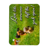 Leef alsof iemand de poort open heeft gelaten. magneet (Verticaal)