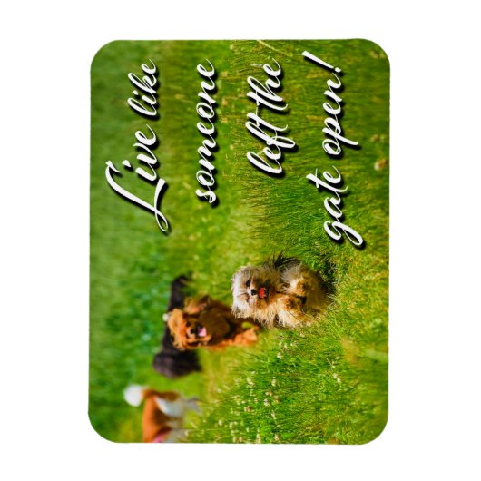 Leef alsof iemand de poort open heeft gelaten. magneet (Verticaal)