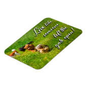 Leef alsof iemand de poort open heeft gelaten. magneet (Linkerzijde)