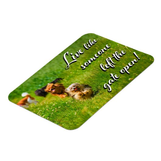 Leef alsof iemand de poort open heeft gelaten. magneet (Linkerzijde)