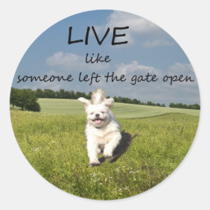 "Leef alsof iemand de poort open heeft gelaten" ti Ronde Sticker