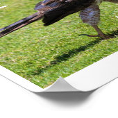 "Leef alsof iemand de poort open heeft gelaten" va Poster (Hoek)